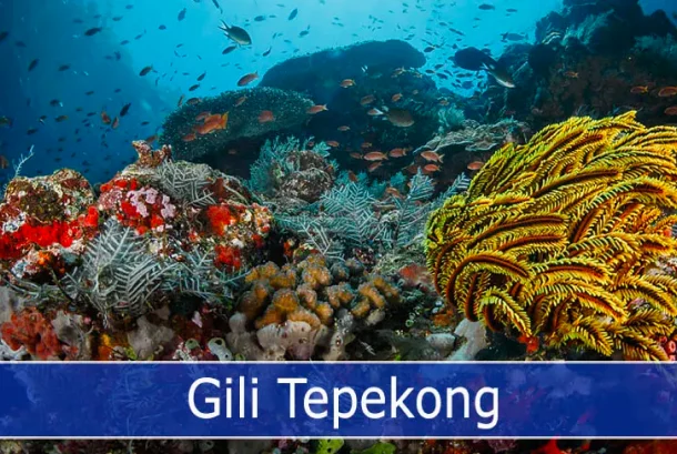 Gili Tepekong, Padang Bai